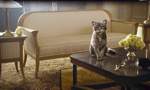 chat
