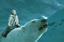 dakota blue richards sur l ours