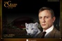 fond d ecran daniel craig