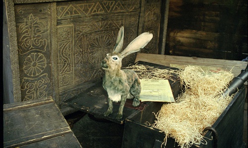 lapin