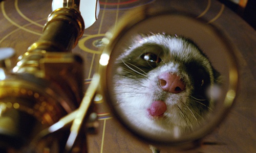rat qui tire la langue