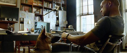 smith will et sa chienne - Je suis une légende