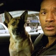 will smith et sa chienne - Je suis une légende