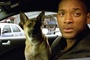 will smith et sa chienne - Je suis une légende