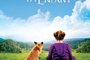 Affiche du film Le Renard et l'enfant