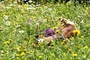 Bertille Noel Bruneau dans un champ de fleurs