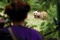 Bertille Noel Bruneau et l'ours