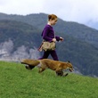 Bertille Noel Bruneau et le renard