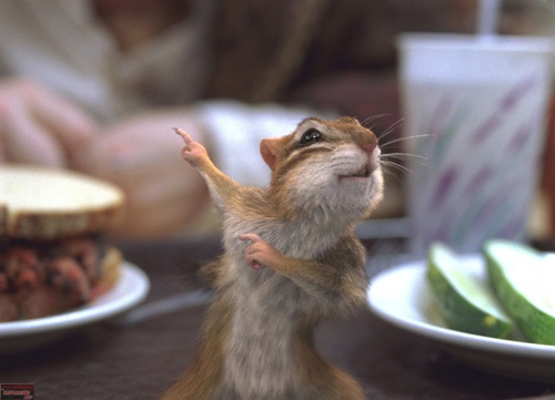 souris