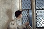 daniel radcliffe et sa chouette edwige