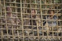 prisonniers 2 - John Rambo (Rambo 4)