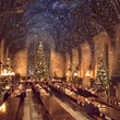 harry potter et la chambre des secrets 17 - Harry Potter et la chambre des secrets
