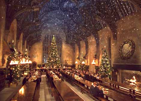 harry potter et la chambre des secrets 17 - Harry Potter et la chambre des secrets