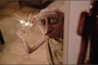 harry potter et la chambre des secrets 19 - Harry Potter et la chambre des secrets
