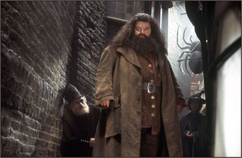 harry potter et la chambre des secrets 20 - Harry Potter et la chambre des secrets