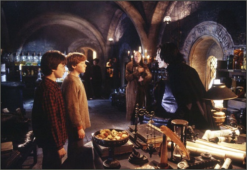 harry potter et la chambre des secrets 29 - Harry Potter et la chambre des secrets