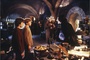 harry potter et la chambre des secrets 29 - Harry Potter et la chambre des secrets