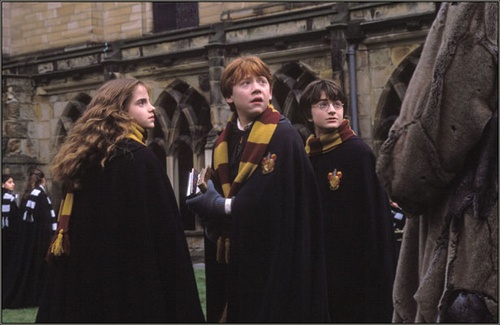 harry potter et la chambre des secrets 38 - Harry Potter et la chambre des secrets
