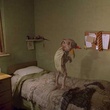 harry potter et la chambre des secrets 42 - Harry Potter et la chambre des secrets