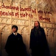 harry potter et la chambre des secrets 45 - Harry Potter et la chambre des secrets