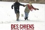 Affiche du film Des chiens dans la neige