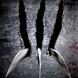 wolverine poster - X-Men Origins : Wolverine