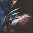 wolverinemovie04 - X-Men Origins : Wolverine