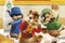 Affiche du film Alvin et les Chipmunks