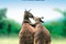 les animaux amoureux - Les Animaux amoureux