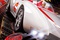 speed racer affiche - Speed Racer