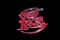 speed racer logo - Speed Racer