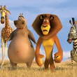 melman alex et marty