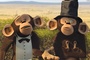 singes dans madagascar 2