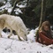 mathilde goffart 11 - Survivre avec les loups - Survivre avec les loups 
