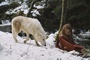 mathilde goffart 11 - Survivre avec les loups