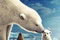 artic tale affiche - Arctic Tale