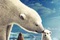 artic tale - Arctic Tale