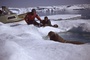 plongeur - Arctic Tale