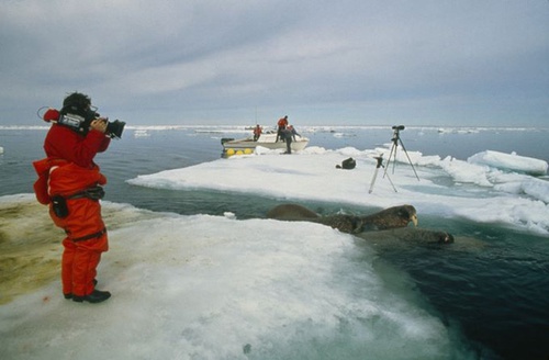 sarah robertson 3 - Arctic Tale