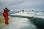 sarah robertson 3 - Arctic Tale