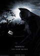 Affiche du film The Dark Knight, Le Chevalier Noir