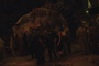 cloverfield 3 - Cloverfield (06-02-08)