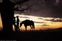 photo du film australia 2 - Australia