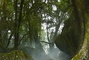 bilbo-le-hobbit-partie-1-le-voyage-inattendu-jpg
