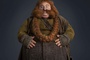 le-hobbit-un-voyage-inattendu4-jpg