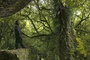 photo-de-bilbo-le-hobbit-jpg