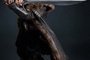 thorin-png