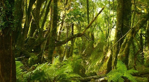 tournage-de-bilbo-le-hobbit-un-voyage-inattendu-jpg
