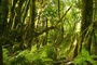 tournage-de-bilbo-le-hobbit-un-voyage-inattendu-jpg
