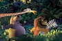 melman gloria alex marty fuyant